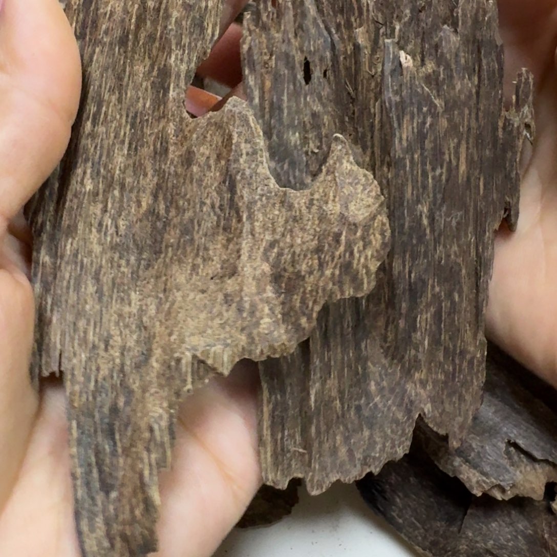 勤***范沉香碎屑沉香国香沉香沉水包头吊齿45.5克