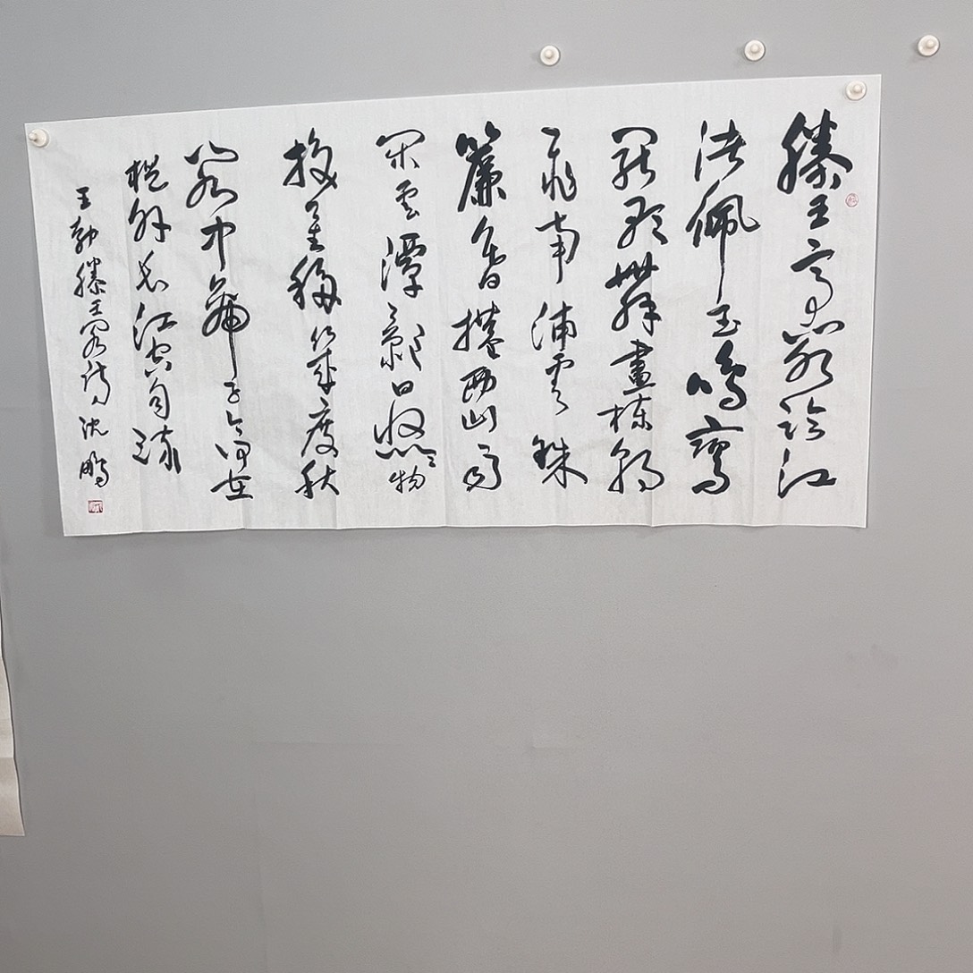 书法沈老师书法作品