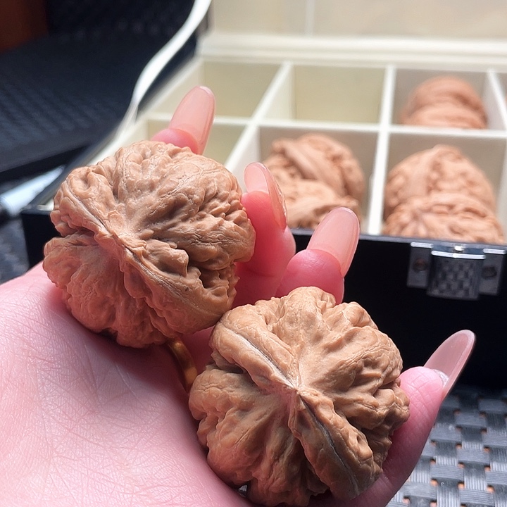 茶***禅霸王龙核桃尺寸42