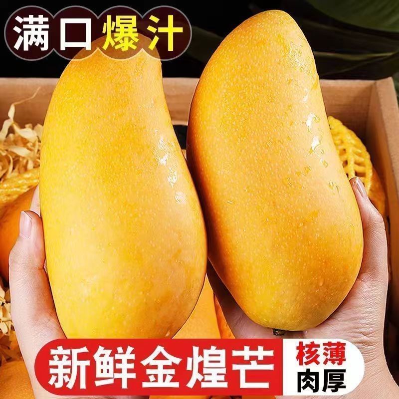 【正宗金煌芒】云南金煌芒黄皮大芒果特大水仙芒大芒果10斤