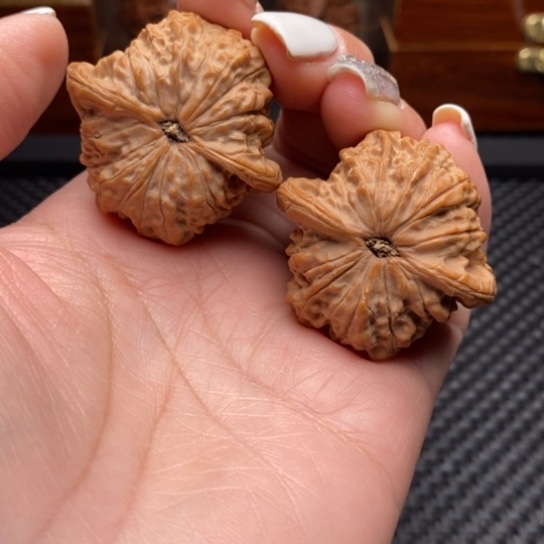 文玩核桃吊坠劳****范40全品血麒麟