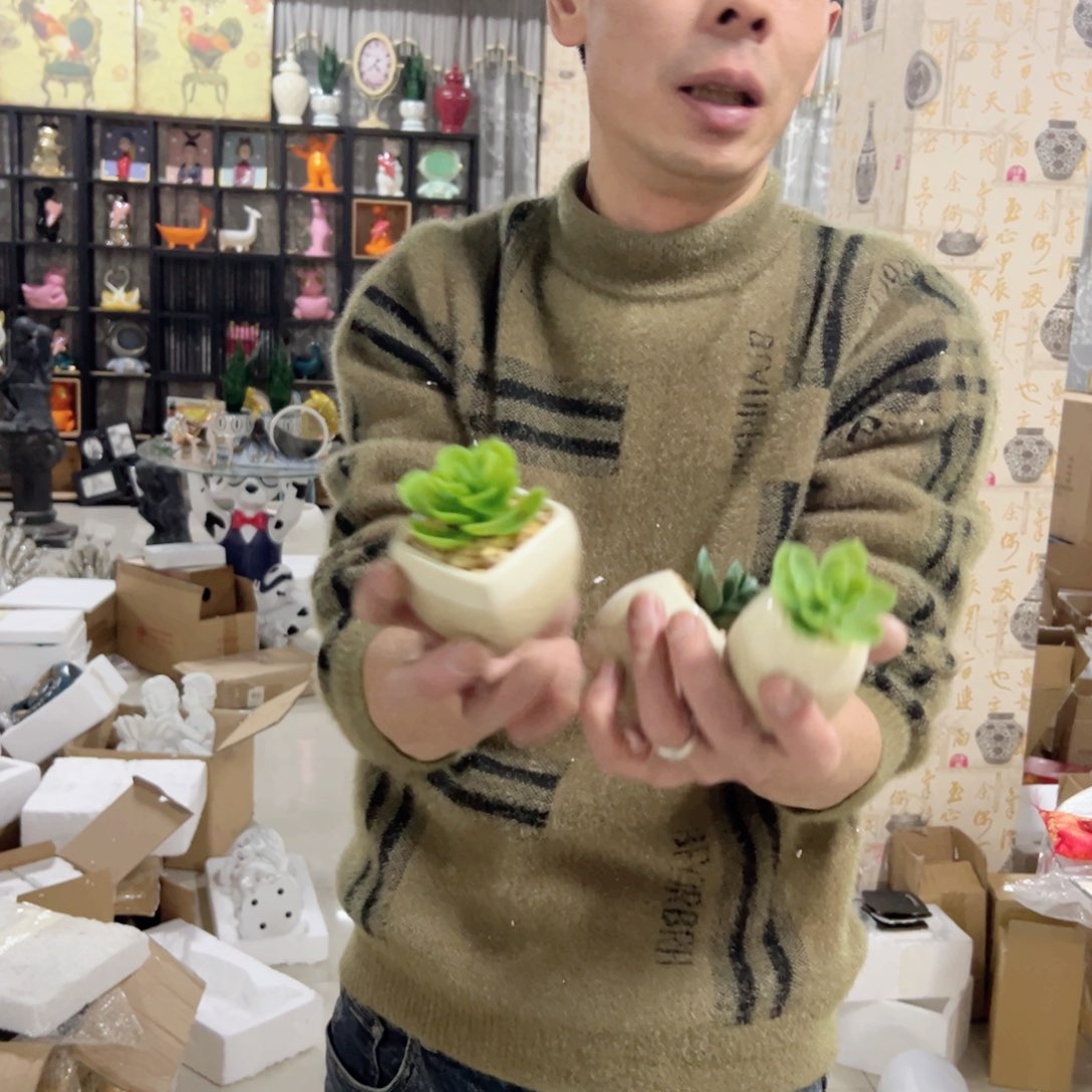 陶红陶红陶红陶红陶三个发小多肉