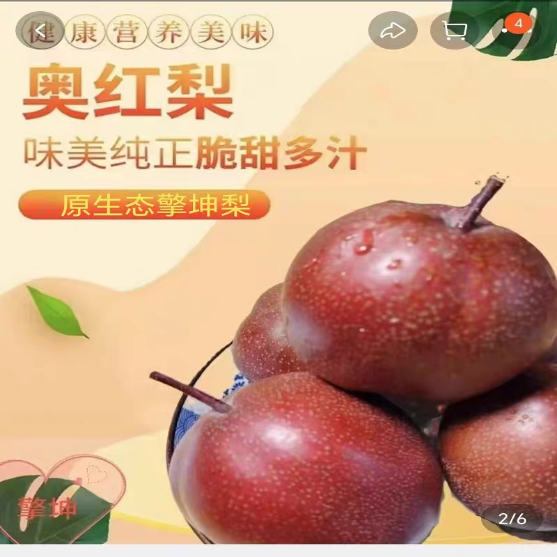 珍稀奥红一号梨当季新鲜水果酥脆甜多汁微酸树熟现摘现发