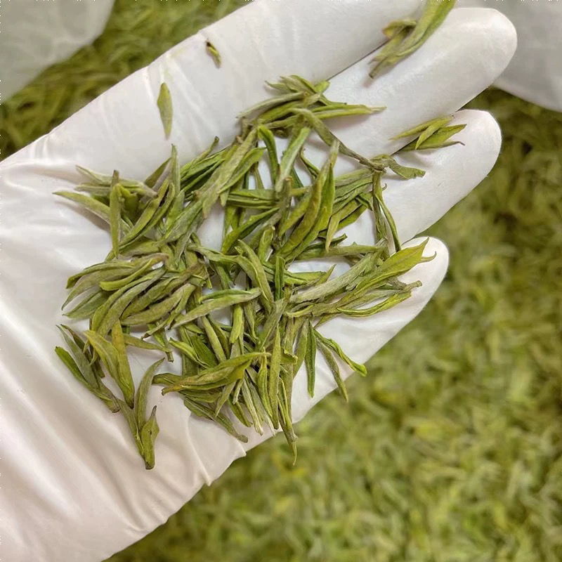 （白茶）正宗核心产区核心产区安吉云雾白茶A-3