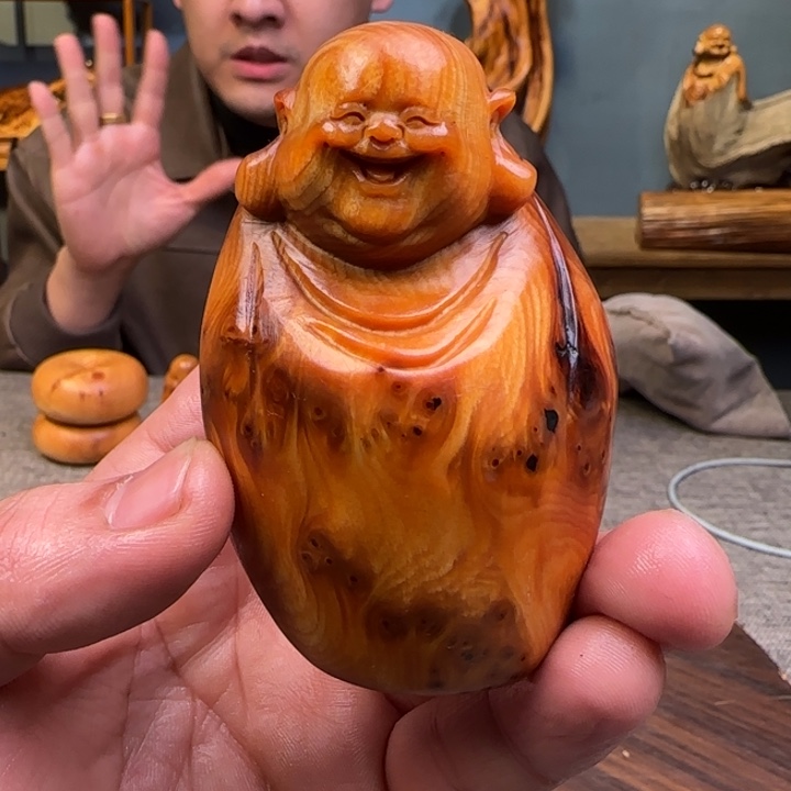 柏木（崖柏）关注一下