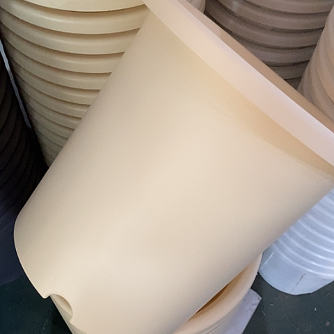 树脂四季7号米黄无托5个