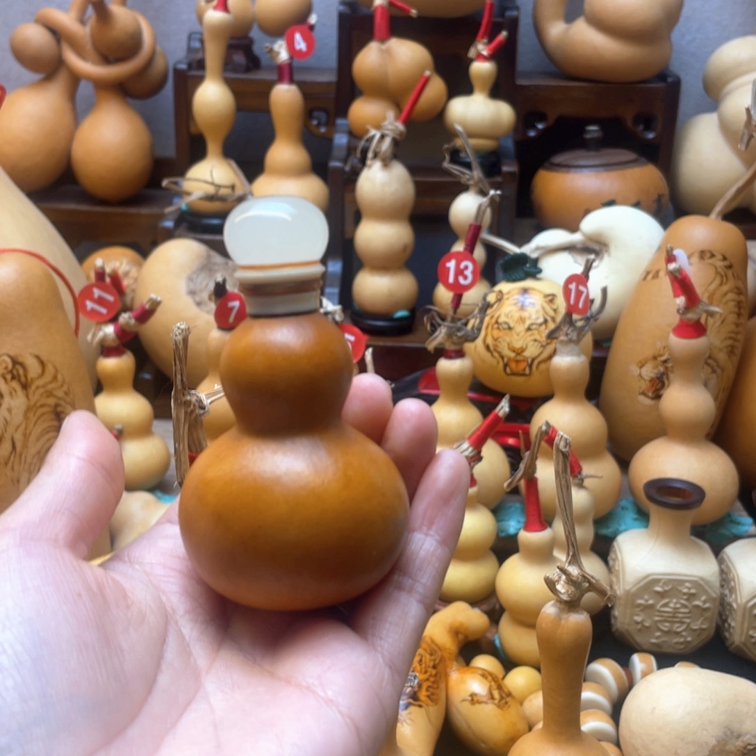 ?****哥大自然的秘密第十一课你