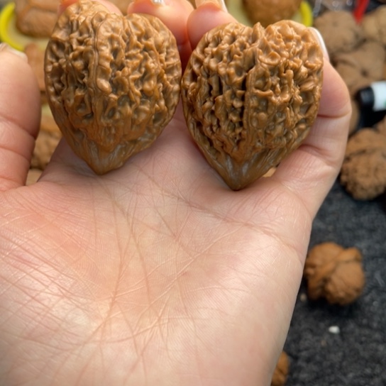 文玩核桃吊坠2蚂蚁王