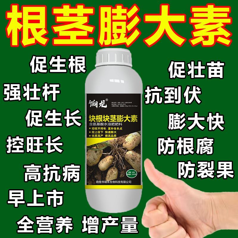 地下猛长地下根茎膨大素土豆莲藕生姜蒜芋头红薯荸荠萝卜等地下茎