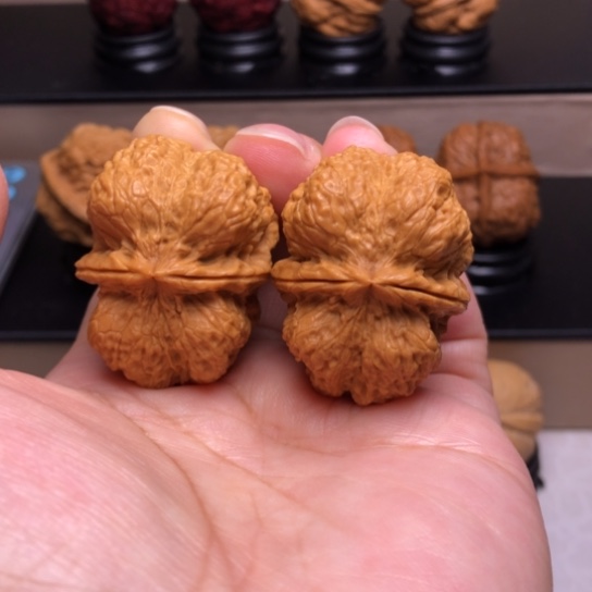 文玩核桃把件霸王龙脊23