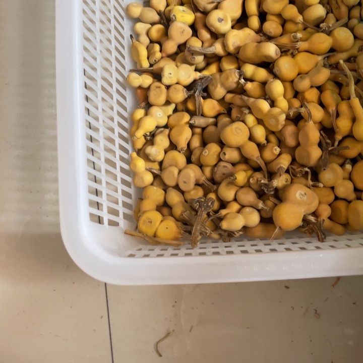 忆***茶葫芦娃的值不值得的50个