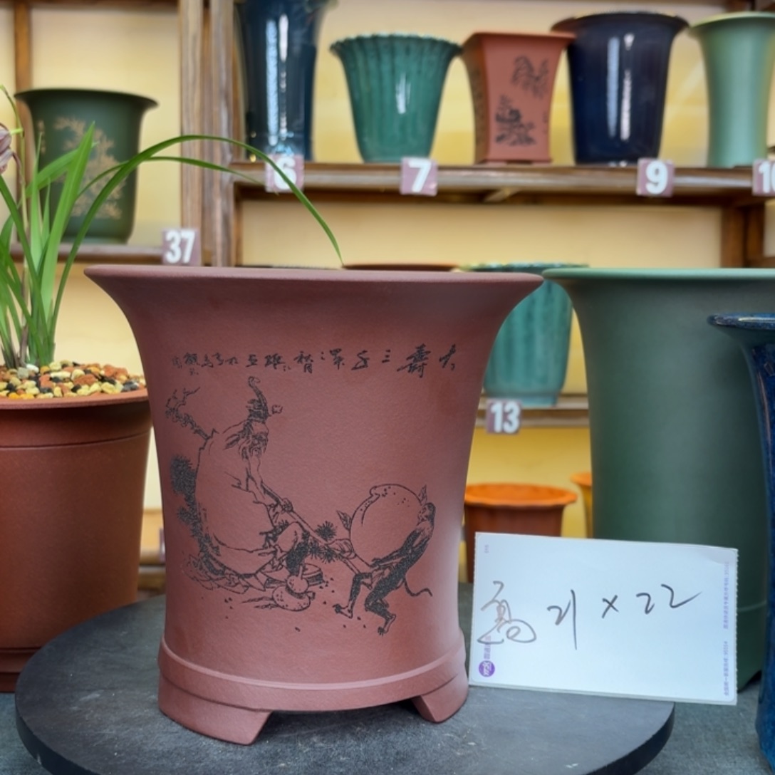 紫砂花盆兰花8465484646465454