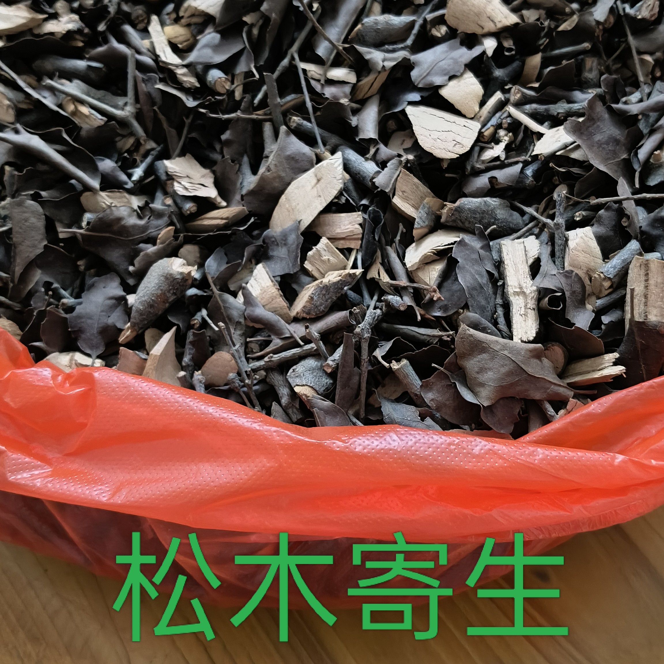 广西岑溪本地松木寄生