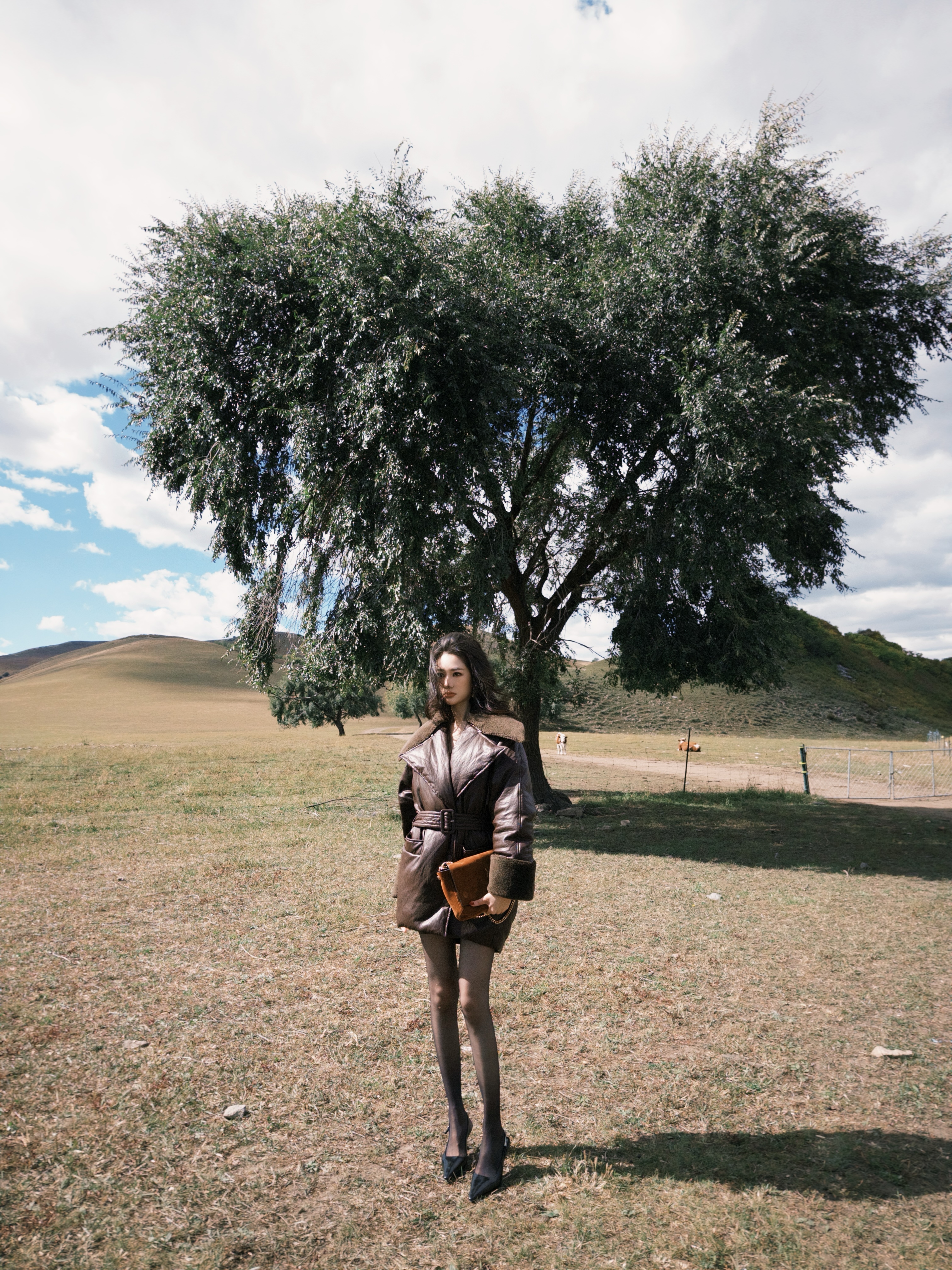 金南一简约大方大平驳领绵羊毛拼接白鹅绒蛋白皮羽绒服0200111158