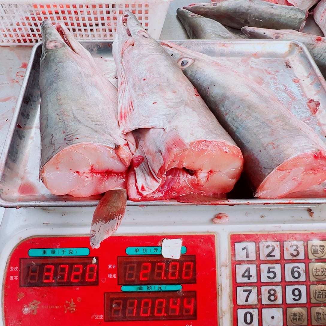 中国大陆三个鳗鱼头