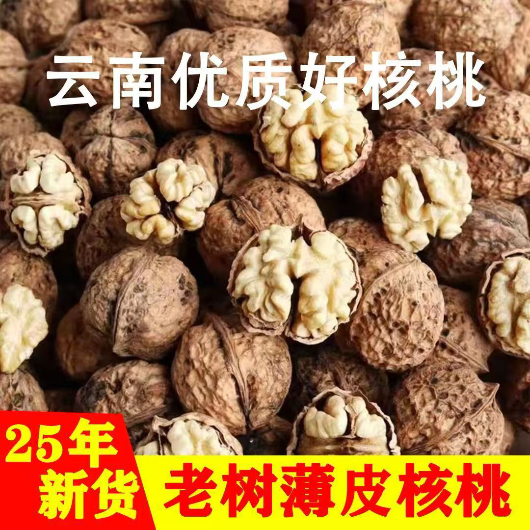 云南老树核桃大麻子2025年新货 薄皮核桃 云南纸皮核桃