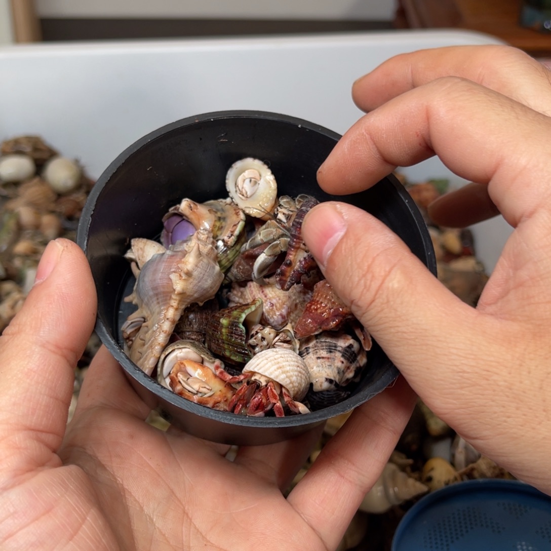 J***n这几次真的要说清楚哦嘛