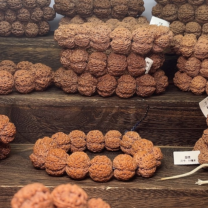 核***子金刚菩提手串老树21