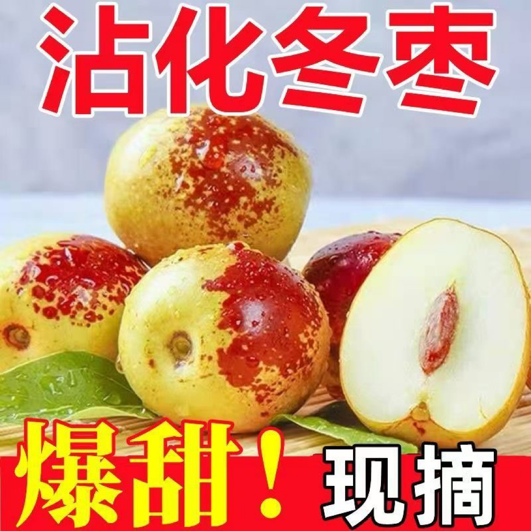 正宗山东沾化冬枣5斤~脆甜多汁皮薄肉厚核小露天生长自然成熟