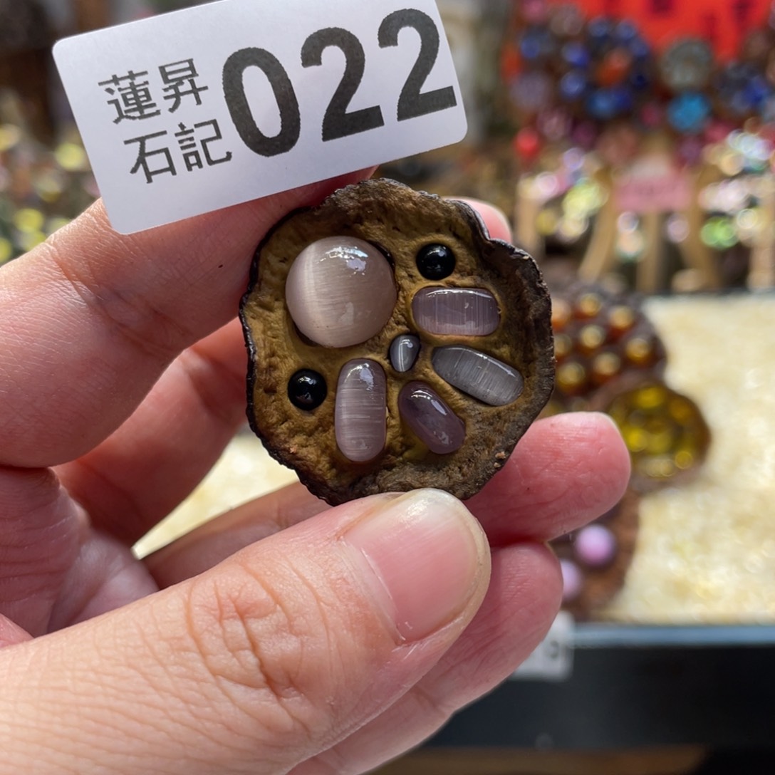 核桃木/黑胡桃（胡桃木）022