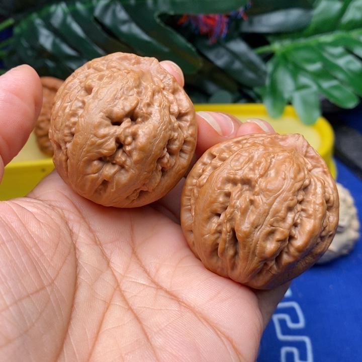 吊坠文玩核桃༒****༒霸王龙