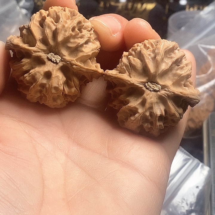 桃核把件一**虫43苹果园狮子头