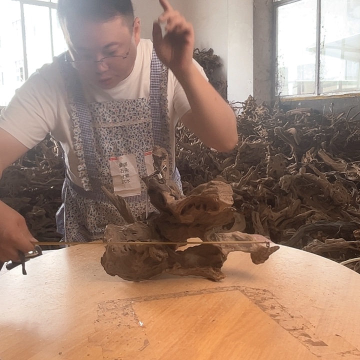 木403530 鱼缸造景根雕艺术166