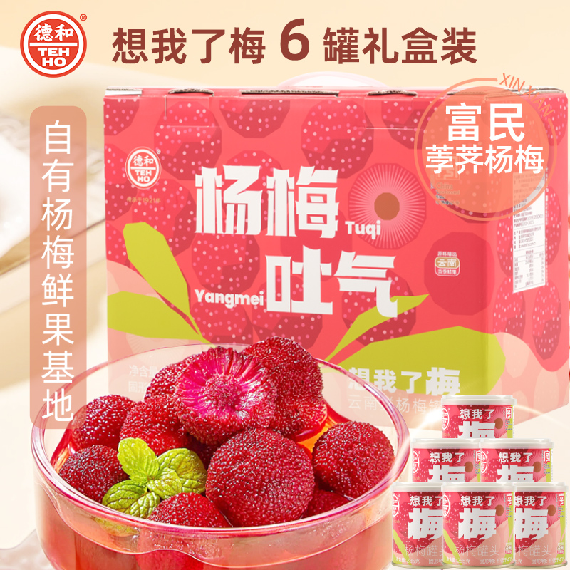 德和想我了梅杨梅水果罐头285g*6罐礼盒装 果味冰镇美味休闲零食