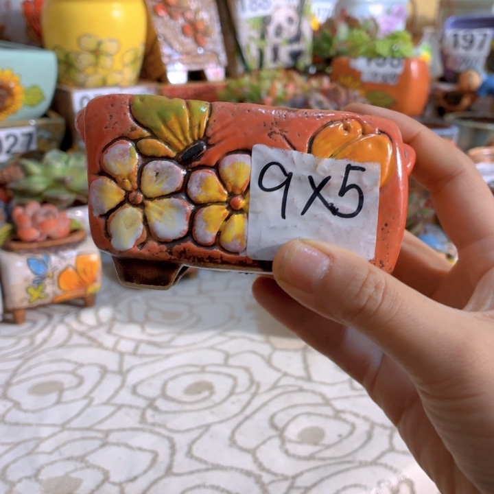 多肉花盆满15包邮，爱退款拉黑