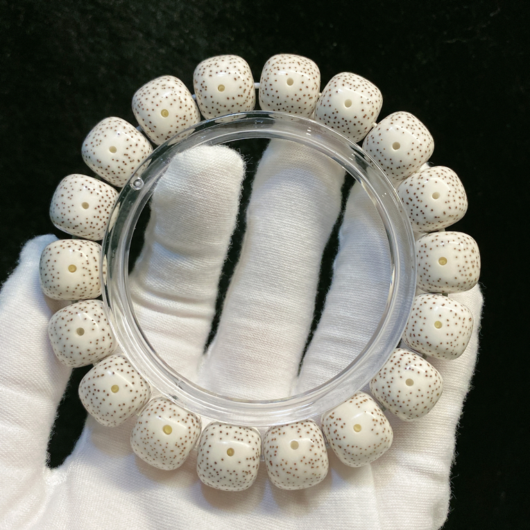 海南料原生态原白13×14月朗星稀针尖星星月菩提