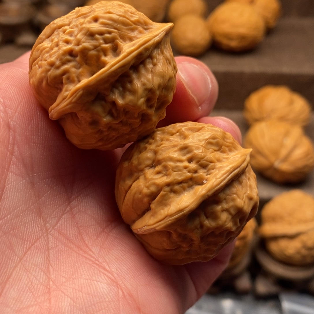 文玩核桃把件铁核桃