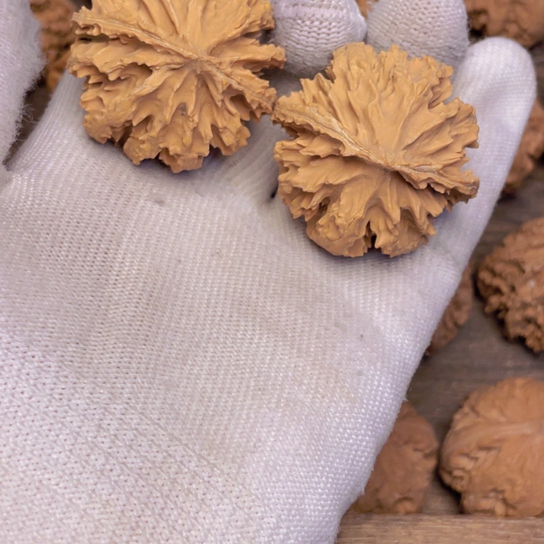 文玩核桃吊坠11 秦岭灯笼野生小众