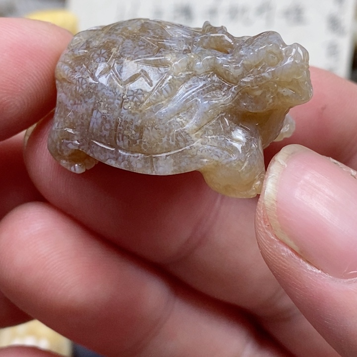 颈饰未镶嵌硅化珊瑚（珊瑚玉）有瑕 小摆件