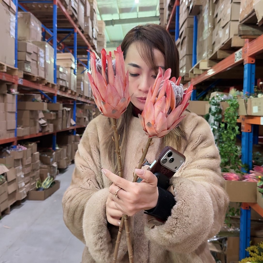 210号「闪购」仿真花，公主请下单