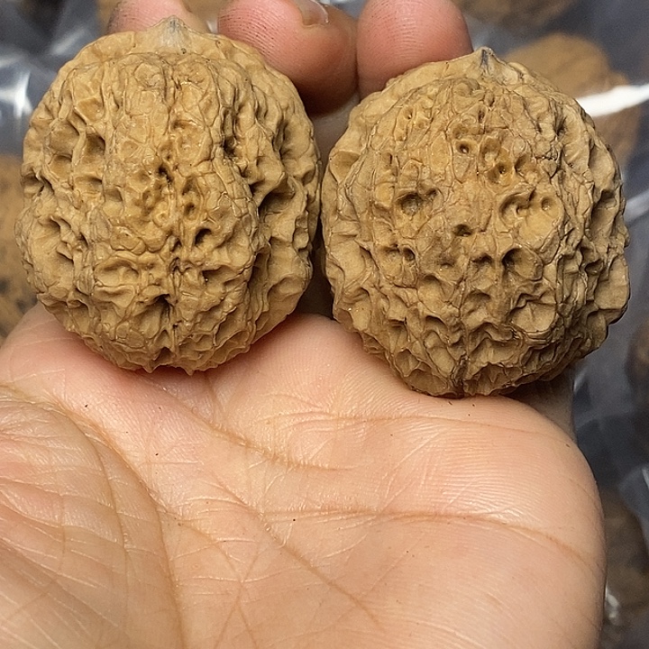 文玩核桃把件云南铁核桃48