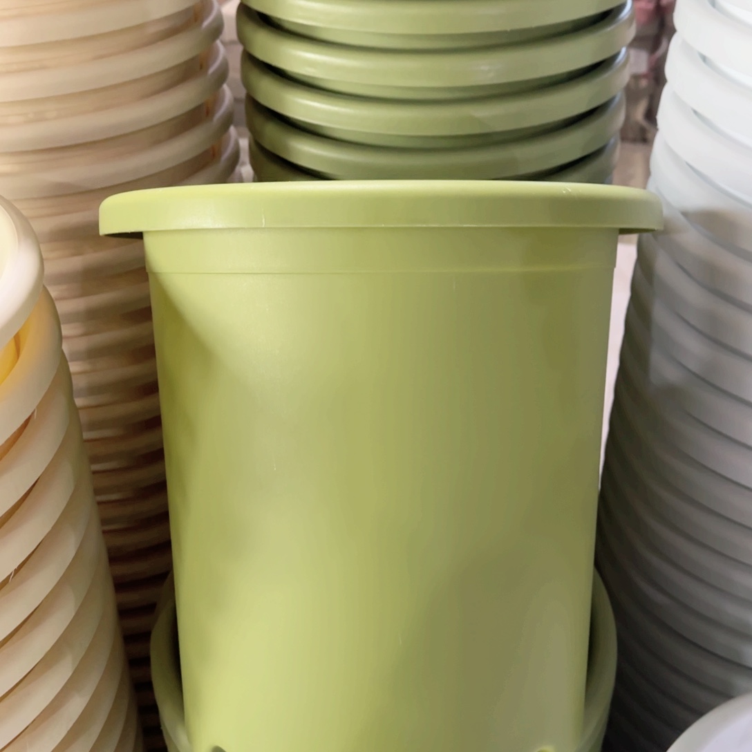 树脂特价7#无拖果绿6个