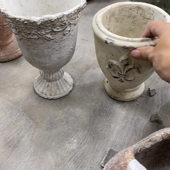 花盆51919191919919¥==