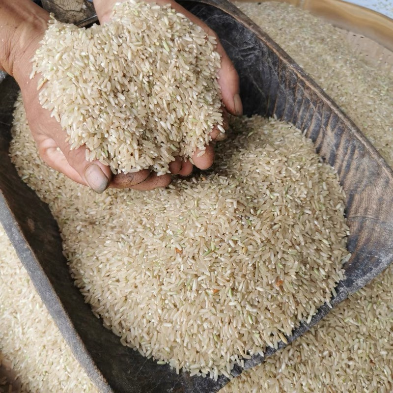 安徽大别山老品种农家糙米籼米留米皮胚芽