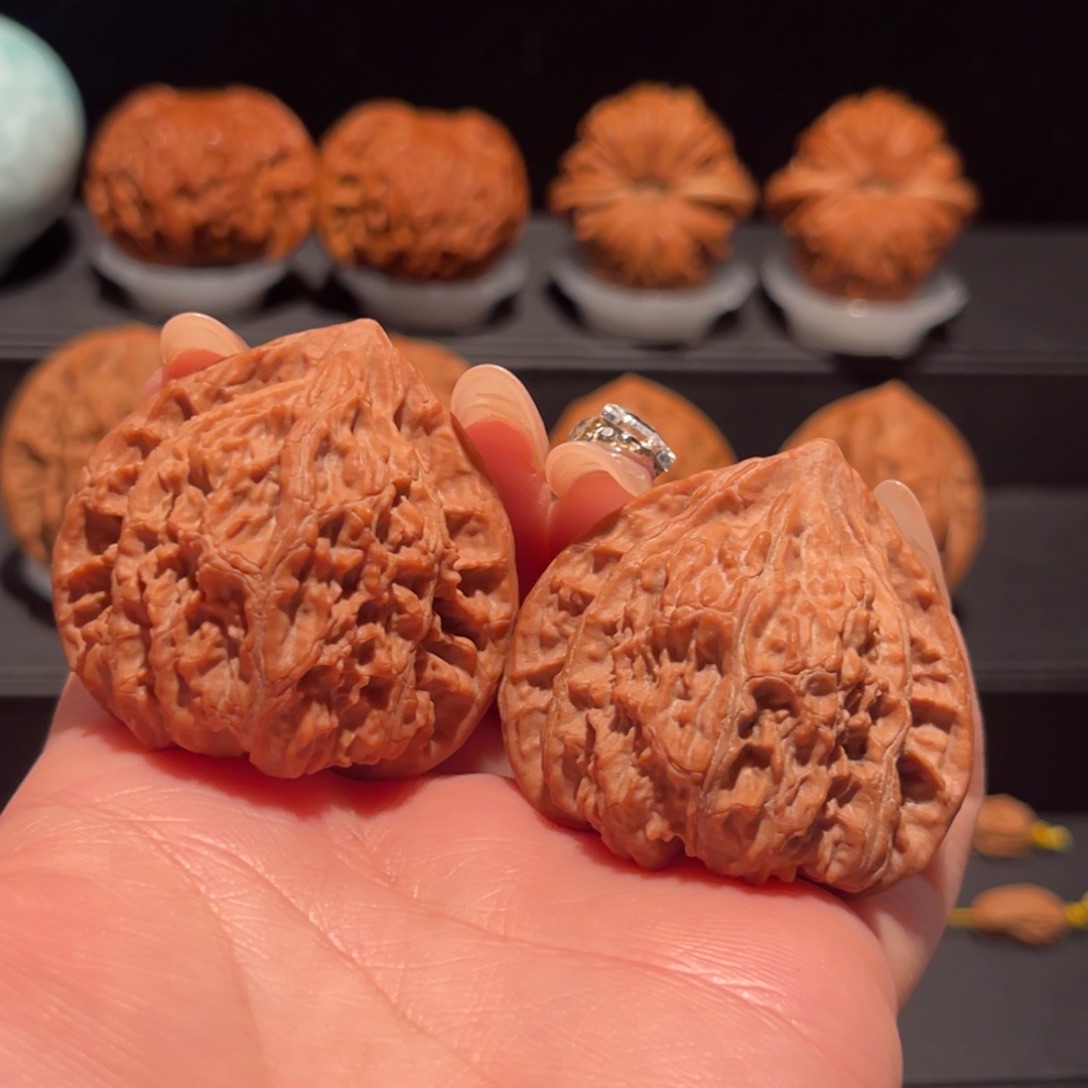 三角红梅，42，全品梅花