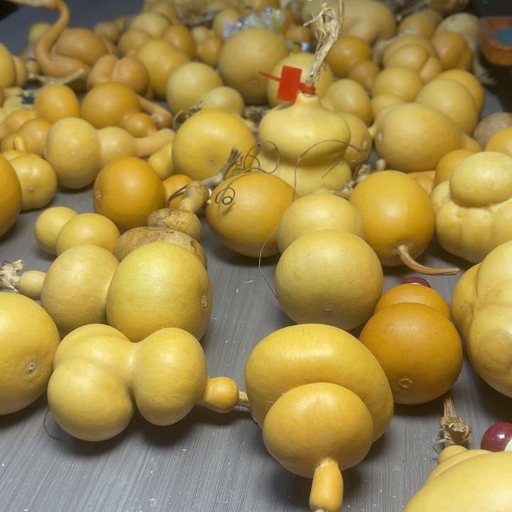 该***）健健康康快快乐乐