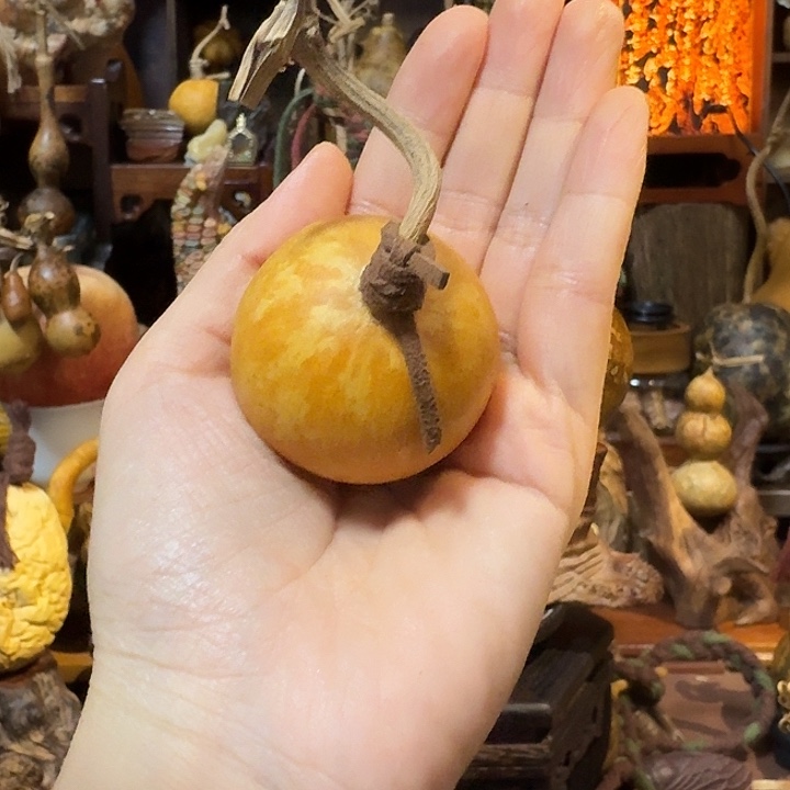 ****偶大叶紫檀（黑酸枝木类）
