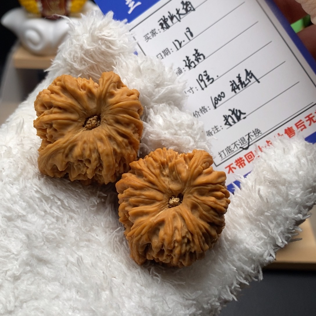 那***海19号原生态 顺歪天残全品