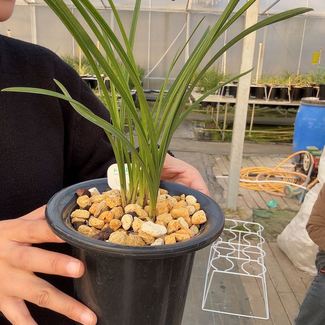 小***。完全开放123358800099