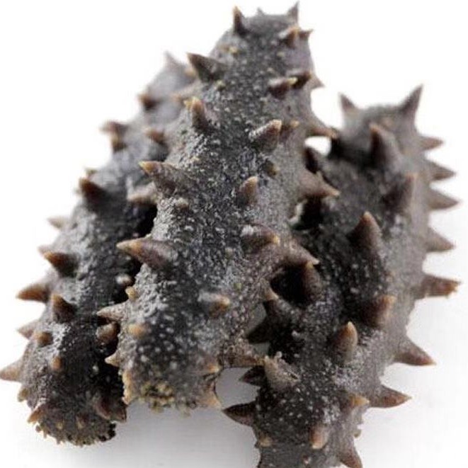 拉缸盐海参半干盐渍海参头茬秋参尝鲜价