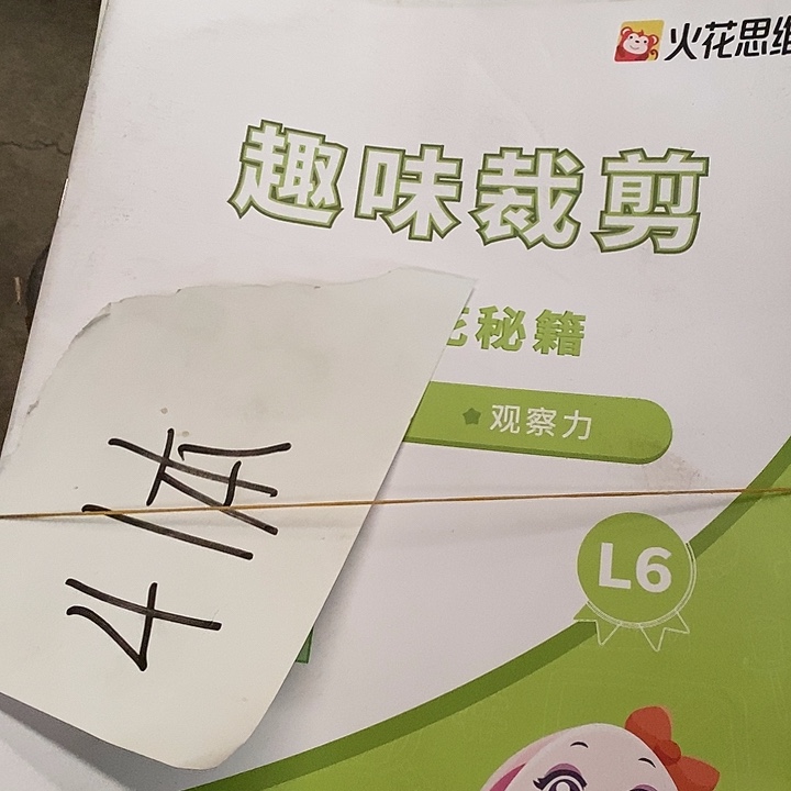 ****n火花思维L6, 41本