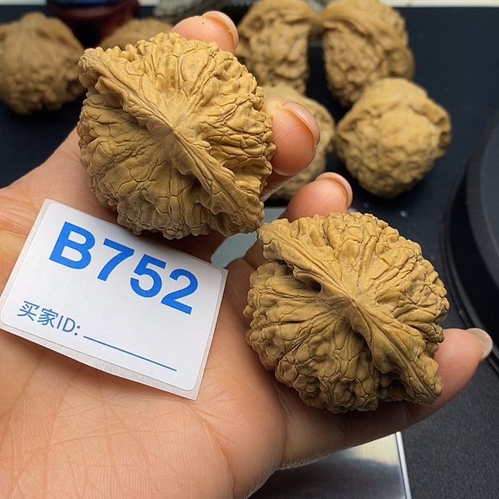 把件文玩核桃官帽5.1