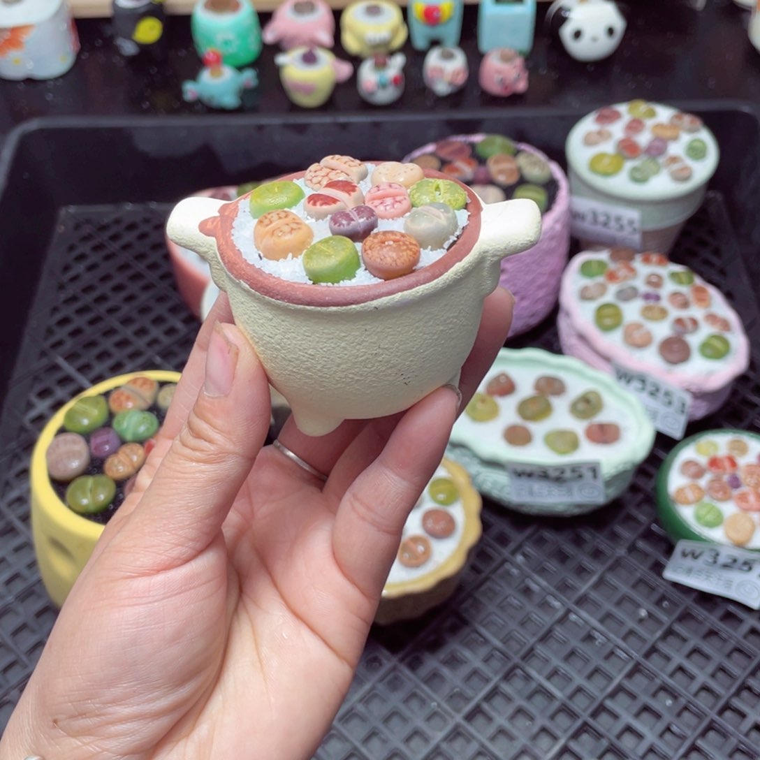 w3258 带盆土发货-零下地区拍保温箱