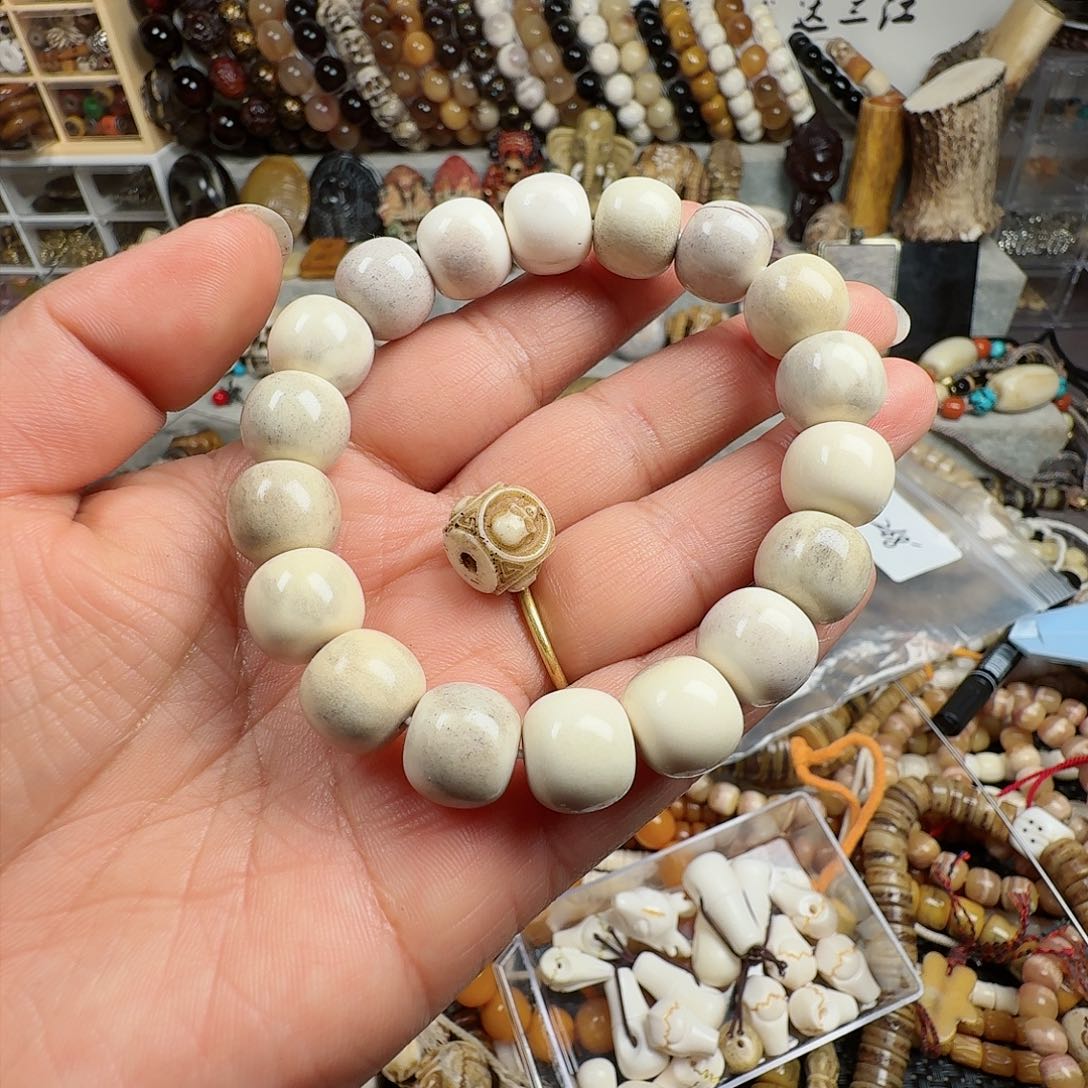 鹿骨其他000000000161