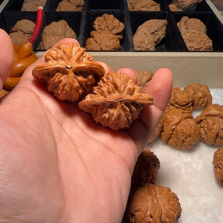 文玩核桃把件野生鸭嘴