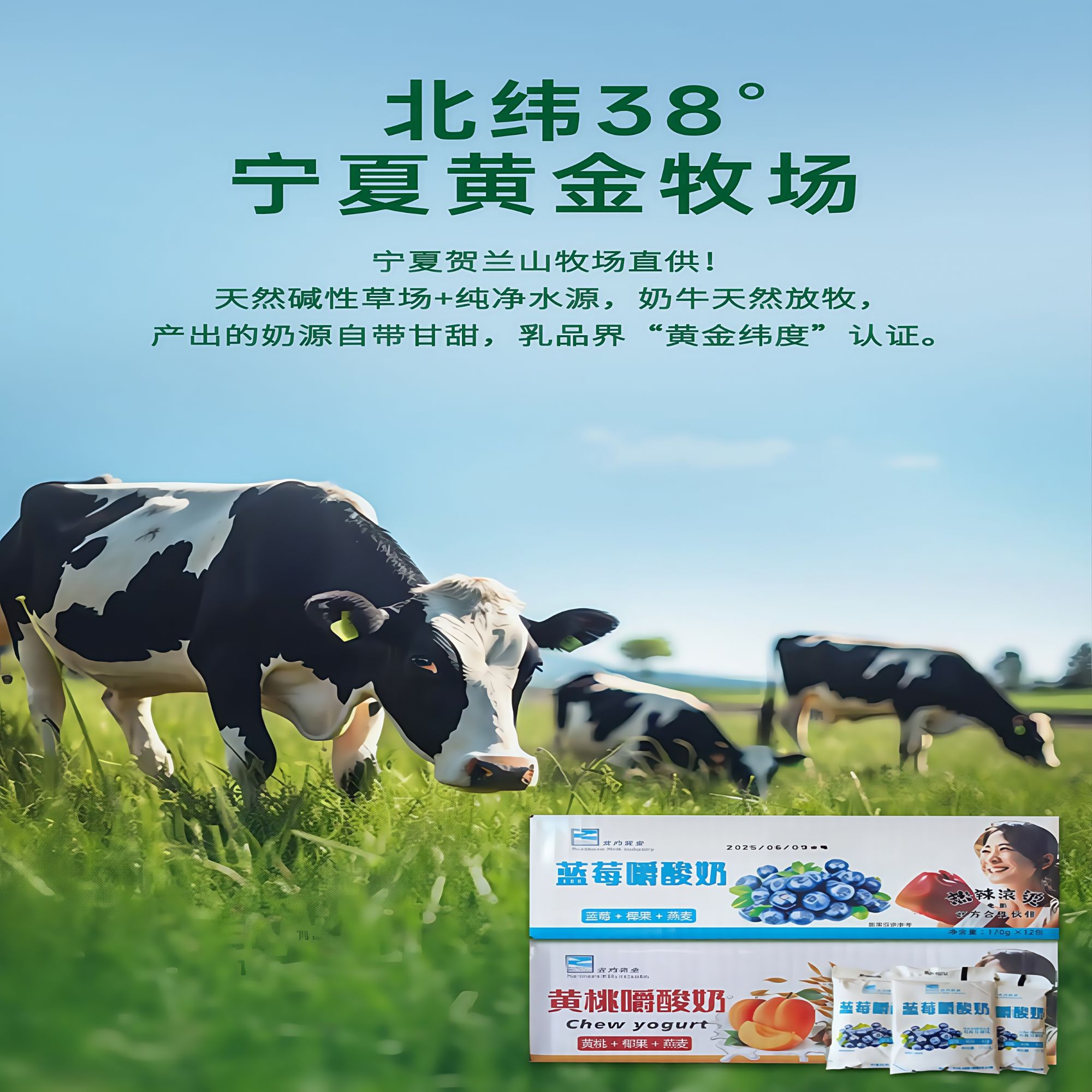 嚼着吃的酸奶黄桃蓝莓适合学生当早餐正品保证低温发酵